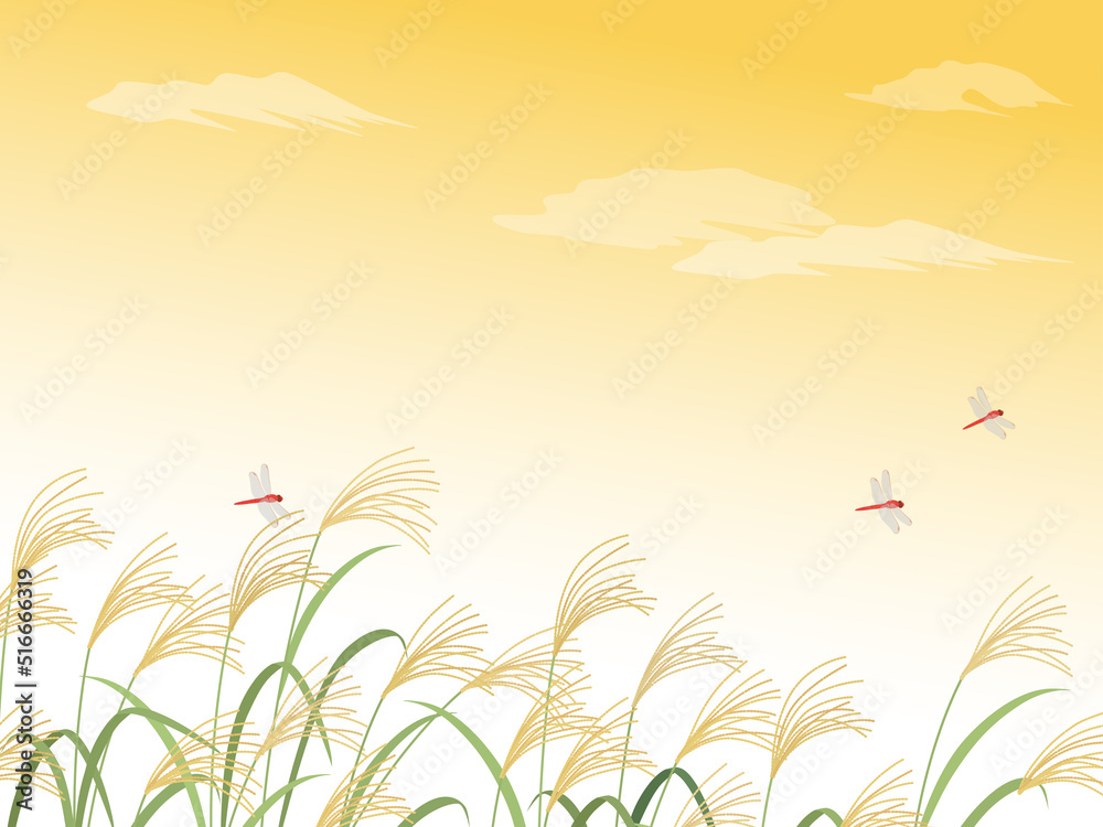 Obraz premium ススキとトンボの夕焼け風景_背景_ベクターイラスト