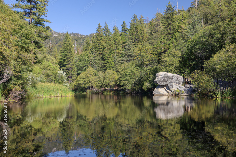 Lake Fulmor and the forest reflection on the water. Lake Fulmor is located in Riverside County near Idyllwild.