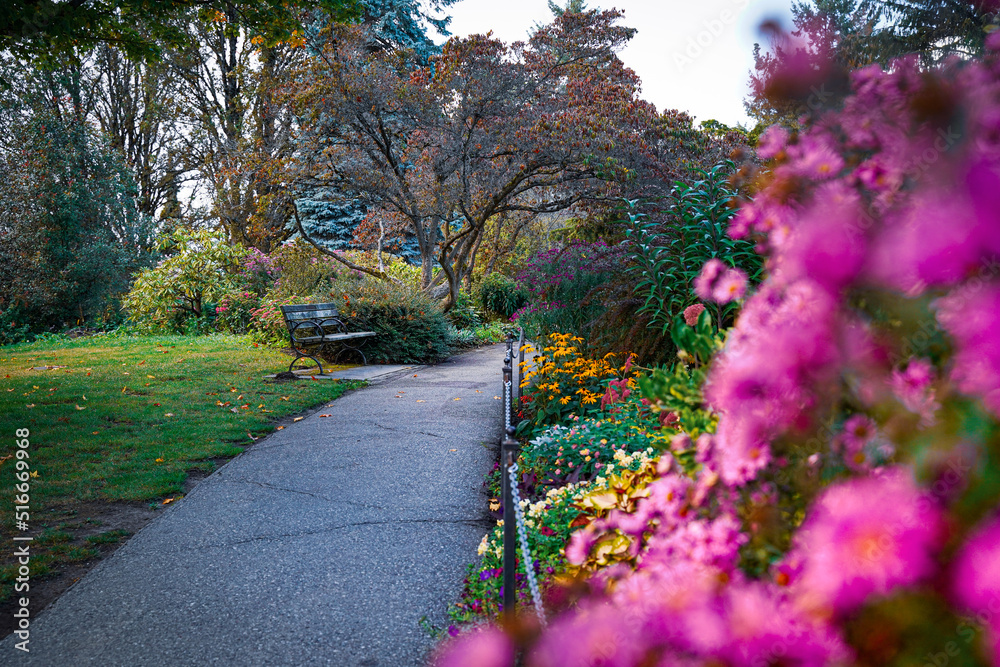 path in the Elizabeth Queen garden park of Vancouver path in the Elizabeth Queen garden park of Vancouver