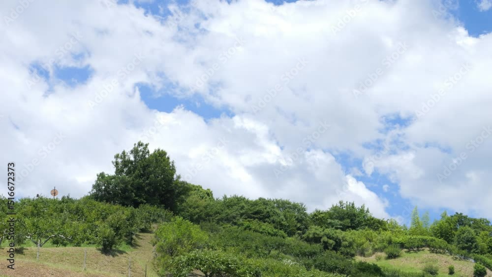 Asia, rural village in midsummer, crisp and beautiful scenery surrounded by blue sky and forest Asia, rural village in midsummer, crisp and beautiful scenery surrounded by blue sky and forest