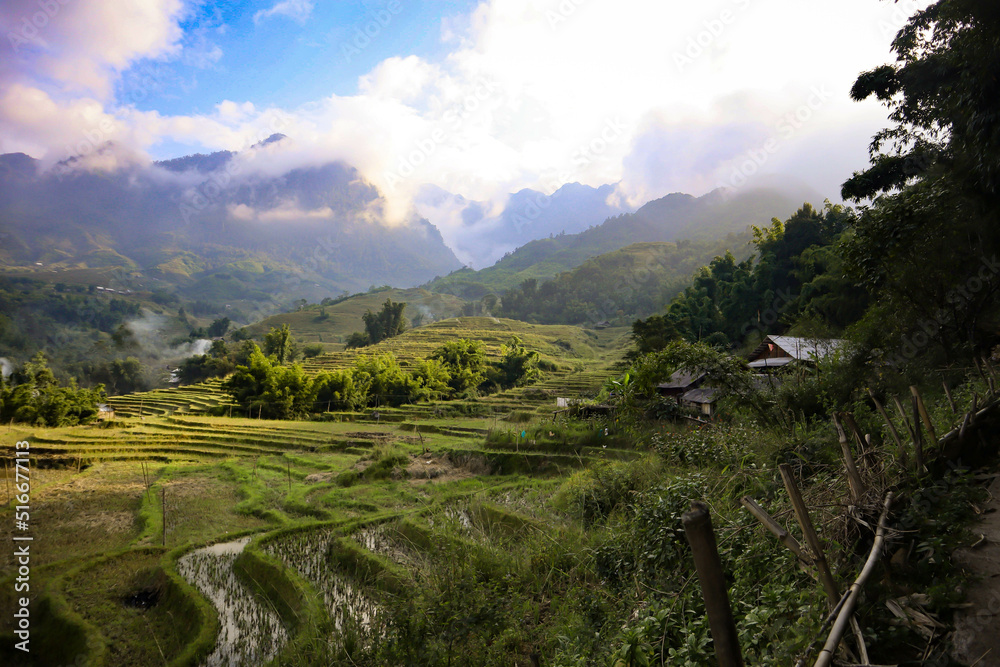 Sapa Hills Vietnam Clouds Rice fields
