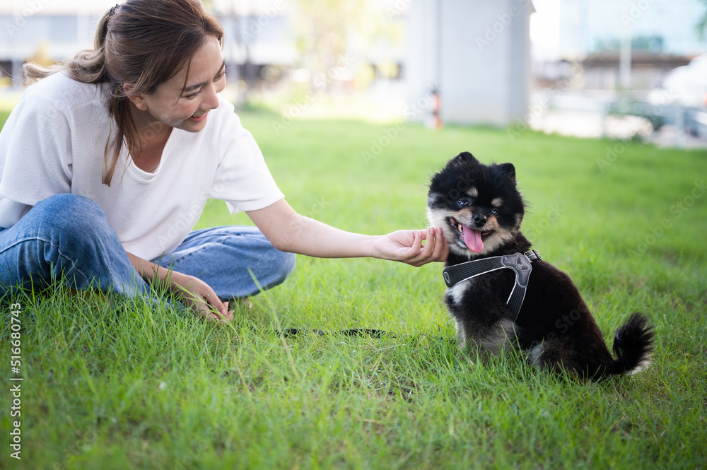 Happy young asian woman playing and sitting on grass in the park with her dog. Pet lover concept Happy young asian woman playing and sitting on grass in the park with her dog. Pet lover concept