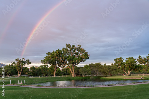 Evening Sunset with Rainbow and Trees