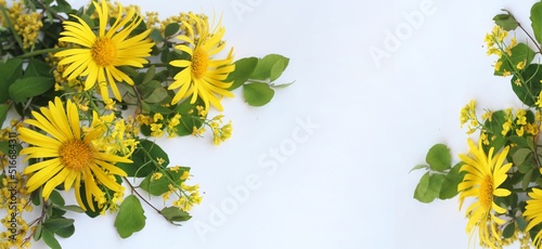 Summer bouquet with yellow flowers on a white background. Background for a greeting card.