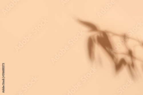 Shadow of bamboo leaves on light color background