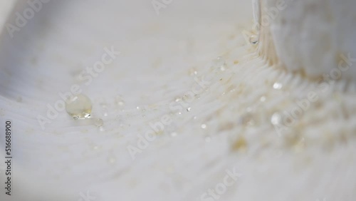 Water Droplets Seeping Off From The Surface Of An Inverted Mushroom. Defocused