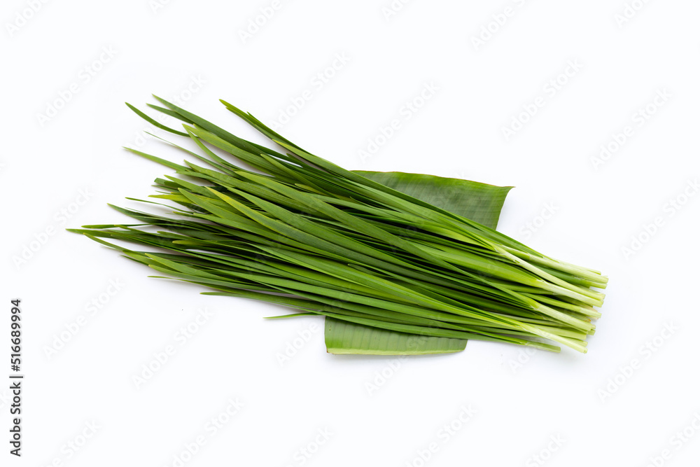 Fresh Chinese Chive leaves on white background. Fresh Chinese Chive leaves on white background.