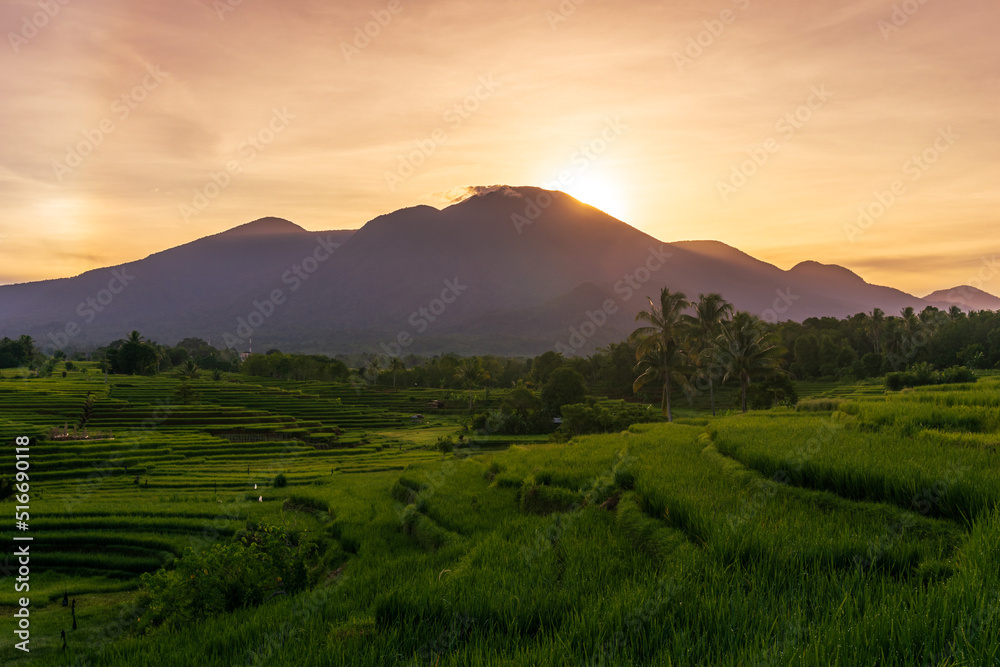 Indonesian natural scenery. sunrise view in rice fields and mountains