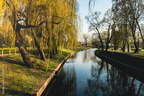 City park on sunny spring summer weather. Park with river reflections, trees and green grass. Landscaping Place for walking and outdoor recreation. Unity with nature. Nature background Poland, Pruszcz photo