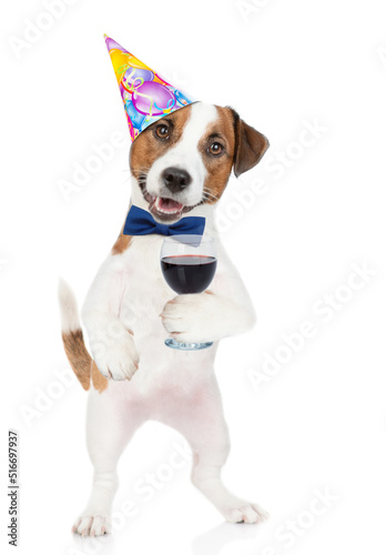 Funny Jack russell terrier puppy wearing tie bow and party cap holds glass of red wine. isolated on white background © Ermolaev Alexandr