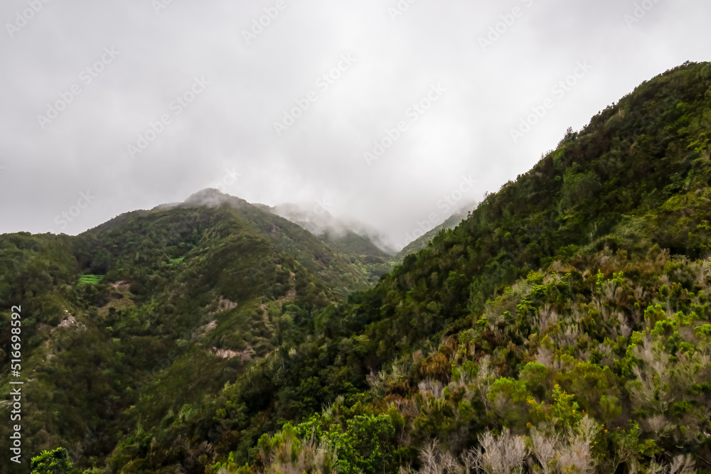 Panoramic view on the cloud covered mountains of Anaga massif between Afur and Taganana on Tenerife, Canary Islands, Spain, Europe, EU. Hill landscape in UNESCO Anaga biosphere park. Tropical forest