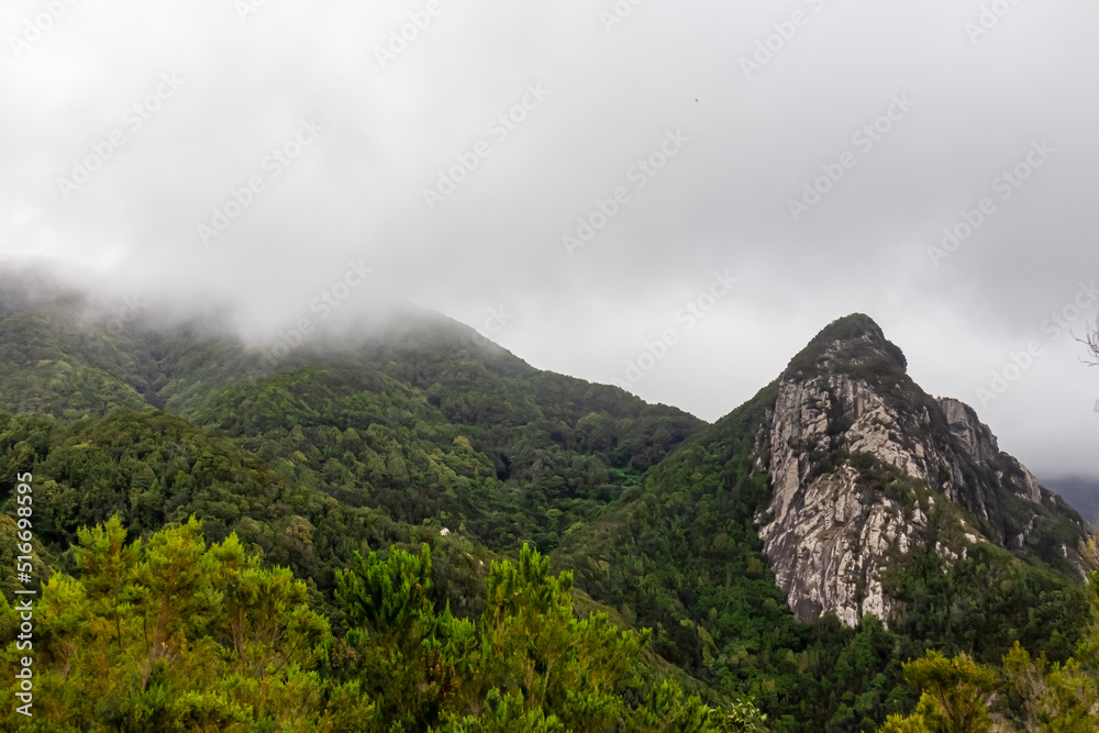 Panoramic view on cloud covered mountain peak Roque Negro in Anaga massif seen from Afur on Tenerife, Canary Islands, Spain, Europe, EU. Hill landscape in UNESCO Anaga biosphere park. Tropical forest
