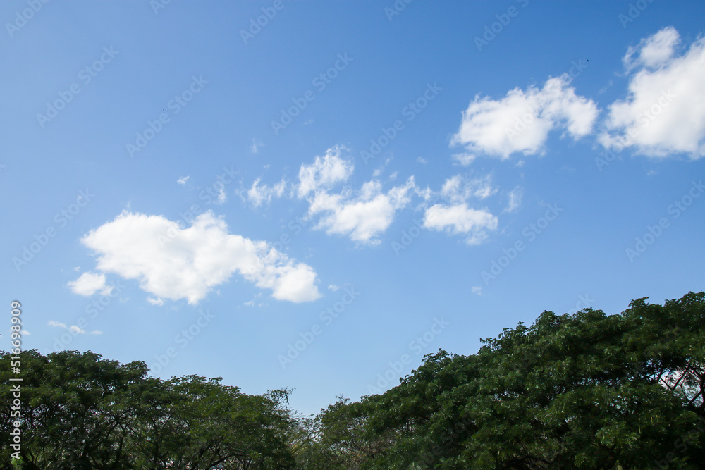 blue sky and clouds