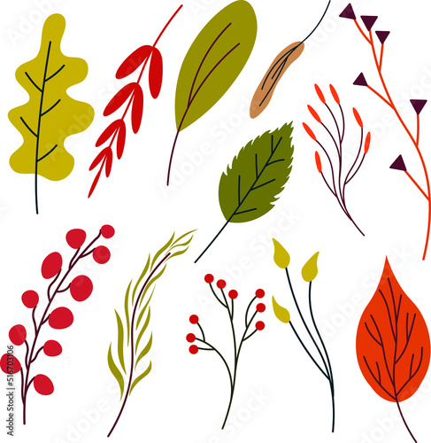 Autumn botanical set. Vector hand-drawn autumn plants  leaves  branches. Design elements for autumn greeting cards  gift paper.