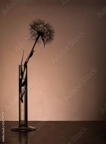 Beige dry grass branches in a vase standing on a white wall with copy space. Minimalistic stylish concept. © Айман Дайрабаева