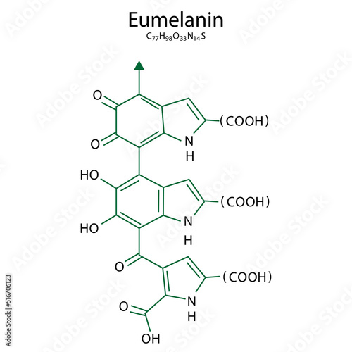 eumelanin formula. Health care. Vector illustration. Stock image. 