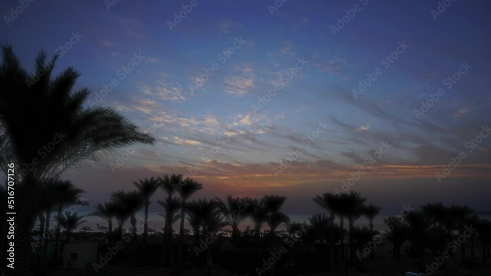 Palms on resort beach and sunrise over sea Palms on resort beach and sunrise over sea