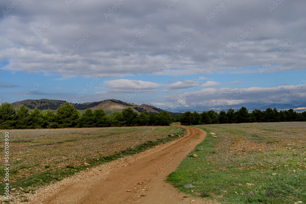 Route dans la campagne. Andalousie. Espagne. Route dans la campagne. Andalousie. Espagne.