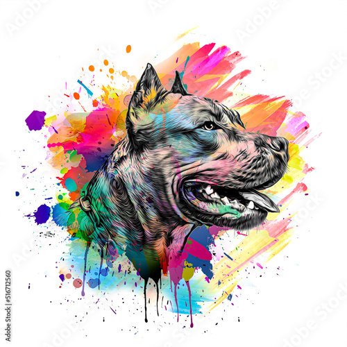 abstract colored dog muzzle...