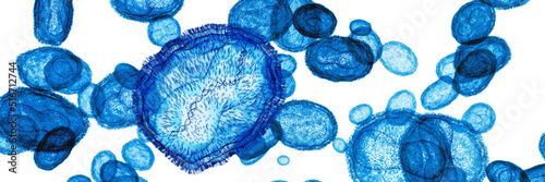 Monkeypox virus, illustration photo