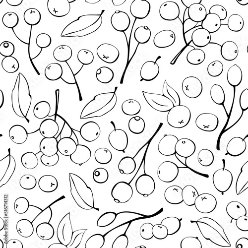 Vector seamless pattern of small outline berries singly. Rowan berries, viburnum, blueberry, lingonberry, cranberry. Botanical texture isolated on white, hand drawn in doodle style