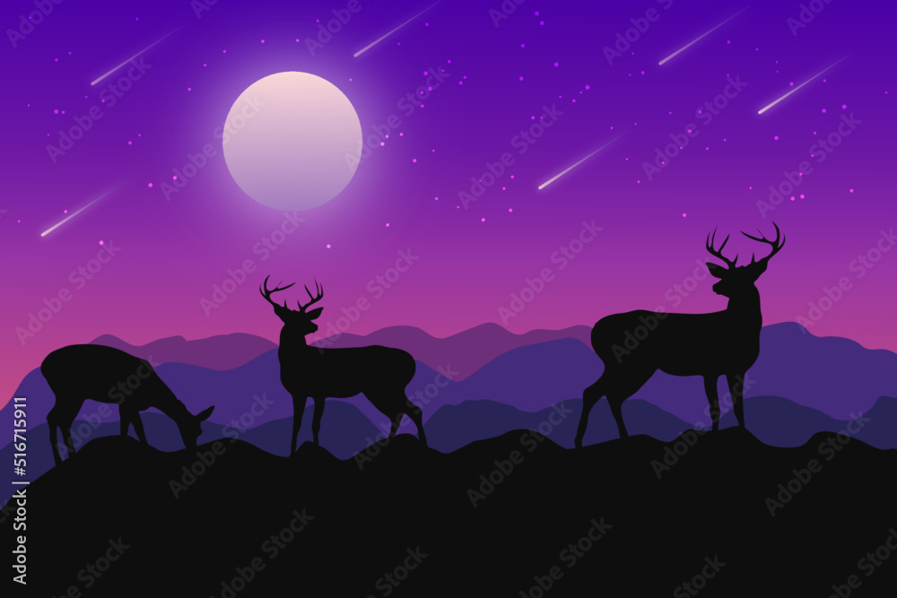 Deer valley, night sky, moon, shooting stars 