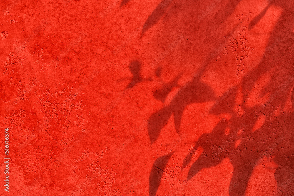 Shadow of willow leaves on red concrete wall texture with roughness and