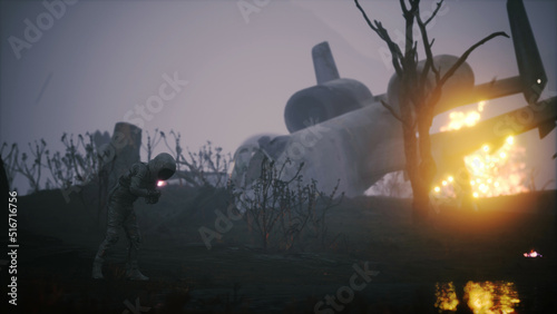 Plane Crash and Burning Forest 3D Illustration 4