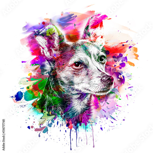 abstract colored dog muzzle...