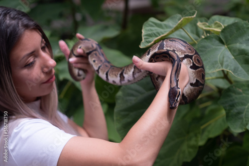 A young woman rescue a python snake in the wild