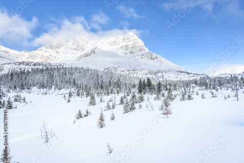 Pure winter mountain scenery in wilderness in Banff National Park, Alberta, Canada © Inger