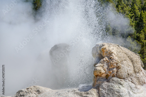 Grotto Geyser erupting in Old Faithful area, Yellowstone National Park 