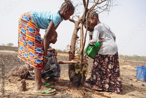 Fotografija Group of young African girls trying to save a dying tree from drought