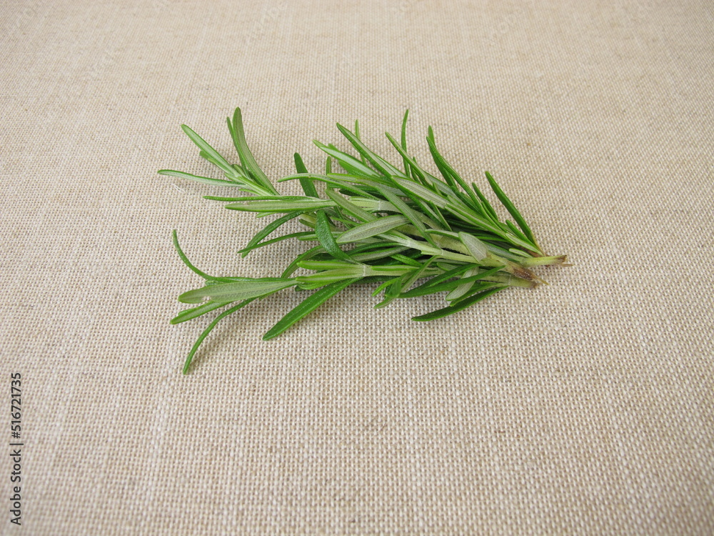 A small bouquet with rosemary herbs