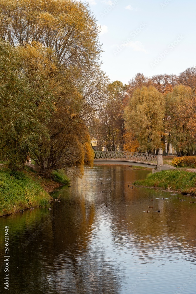 A beautiful bridge over the river in the city park on an autumn day. Autumn in the city park. Yellow and red trees on the bank of the river