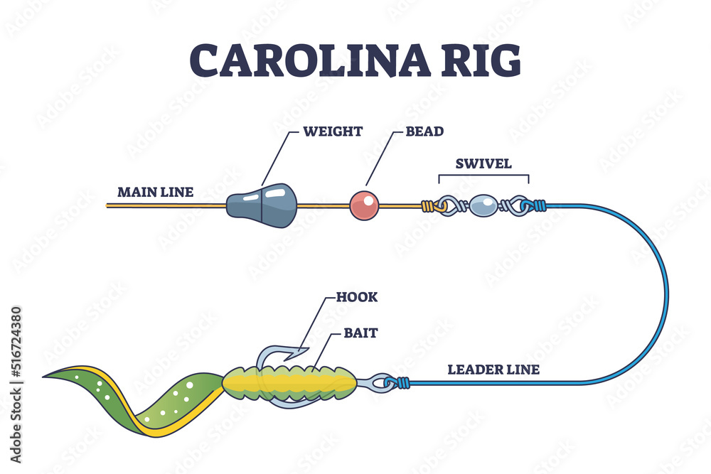 Carolina rig and fishing bait method for bass fish catching outline diagram.  Labeled educational scheme with predatory catch setup and installation  vector illustration. Hook, bait and swivel location. Stock Vector