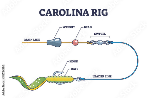 Carolina rig and fishing bait method for bass fish catching outline diagram. Labeled educational scheme with predatory catch setup and installation vector illustration. Hook, bait and swivel location.