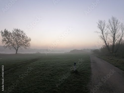 morning in the fog © Krzysztof