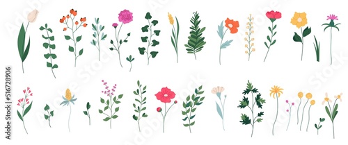 Collection of  blooming flowers and leaves. Spring floral flat vector illustration isolated on white background
