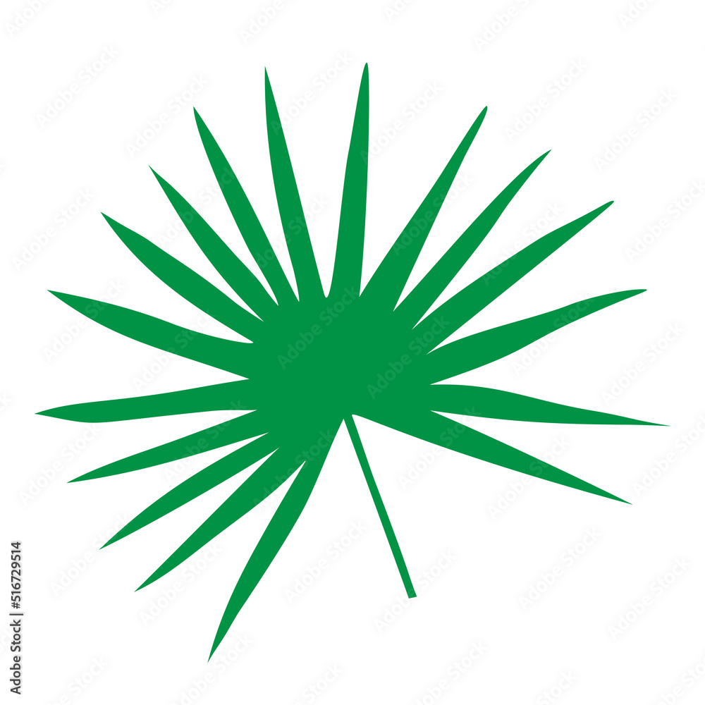 Tropical leaf vector illustration on white background