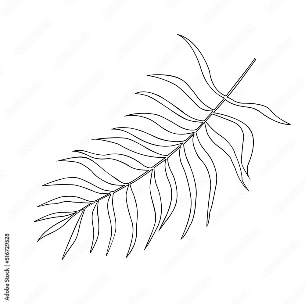 Tropical leaf vector illustration on white background