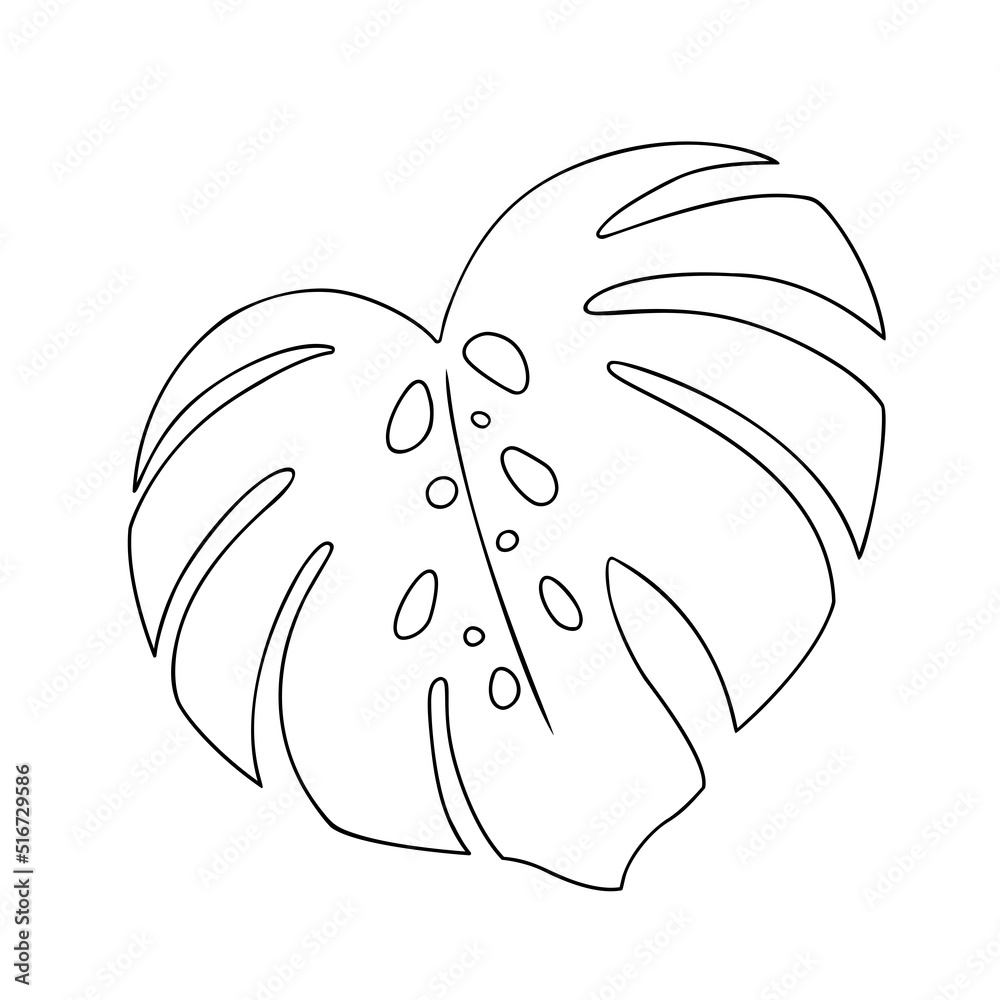 Tropical leaf vector illustration on white background