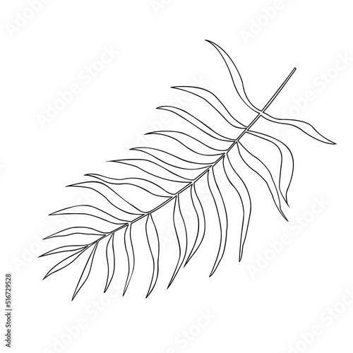 Obraz na płótnie Tropical leaf vector illustration on white background w salonie