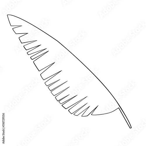 Tropical leaf vector illustration on white background