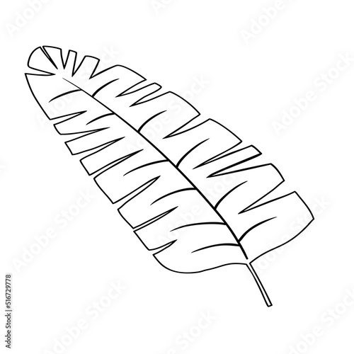 Obraz na płótnie Tropical leaf vector illustration on white background w salonie