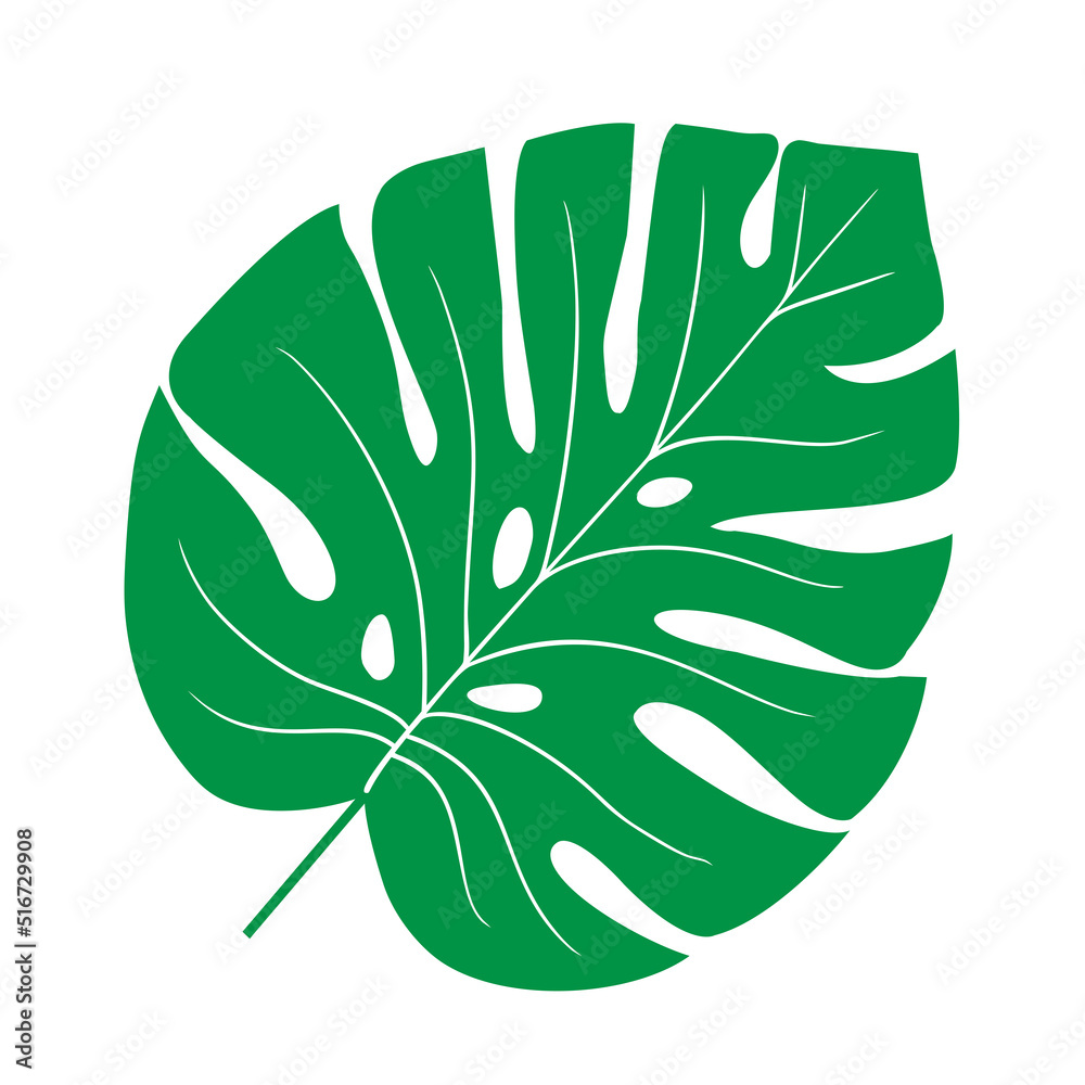 Tropical leaf vector illustration on white background