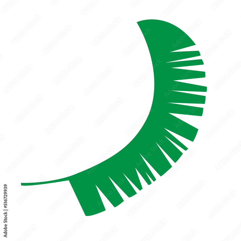 Tropical leaf vector illustration on white background