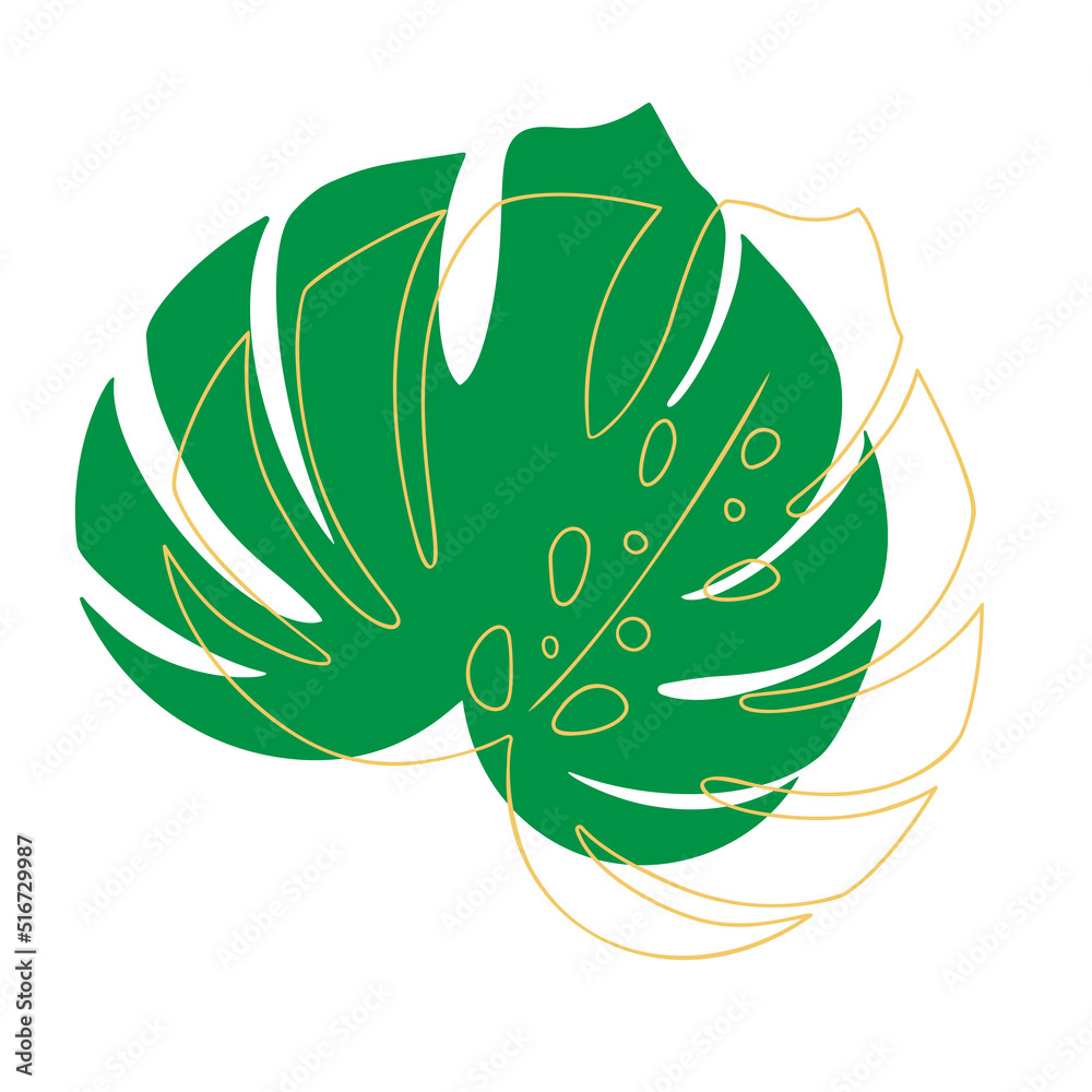 Tropical leaf vector illustration on white background