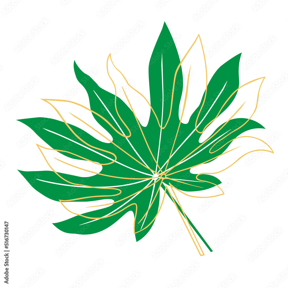 Tropical leaf vector illustration on white background