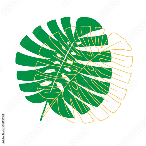 Tropical leaf vector illustration on white background